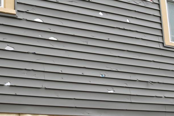 How To Choose The Right Materials for Your Siding Installation in 'Primera, TX